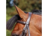 WC.Flash noseband bridle  brown  pony