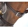 WC.Flash noseband bridle  brown  pony