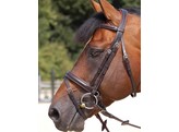 WC.Large flash noseb.bridle comf.close  brown  cob