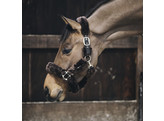 Sheepskin Shipping halter brown Pony