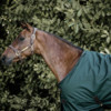 Turnout rug all weather waterproof pro dark green 145-6 6 160 g