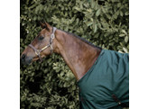 Turnout rug all weather waterproof pro dark green 145-6 6 160 g