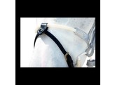 Flash Nose Strap 1/2 With 2 remov Attachs Black Cob DC