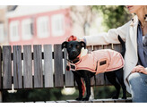 Dog Coat Waterproof coral 160gr XS