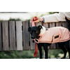 Dog Coat Waterproof coral 160gr M