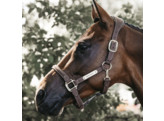 Anatomic suede halter brown Cob