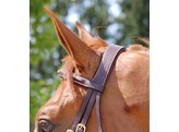 DC.Bridle Comb.Noseband Black Pony