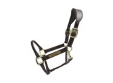 Leather anatomic  halter Full