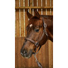 Soft Leath Head collar Brown Full WC