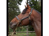 DC.Headcollar Fancy Stitch Black Pony