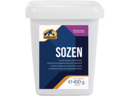 SoZen