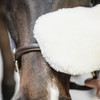 Sheepskin grooming glove naturel